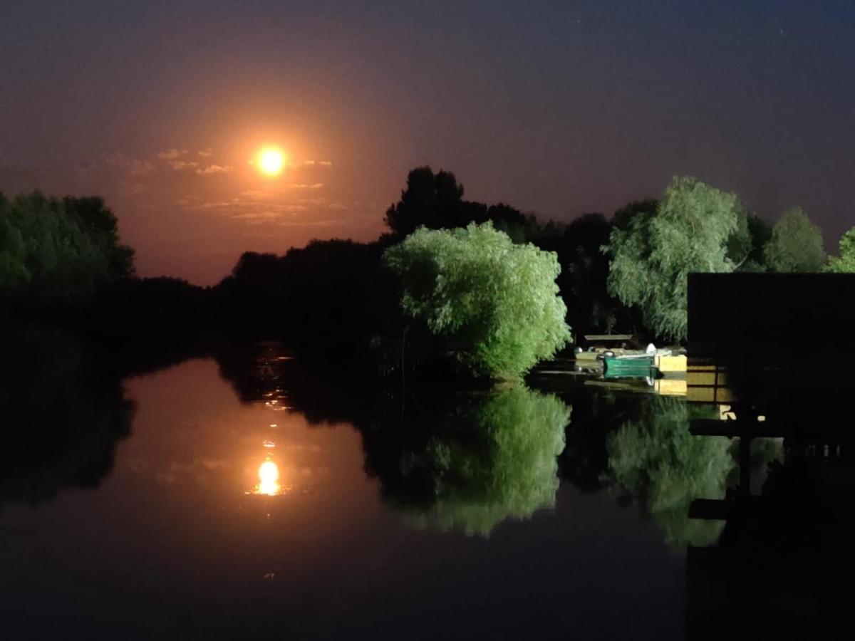 Wild Carp Villa Dunavăţu de Jos