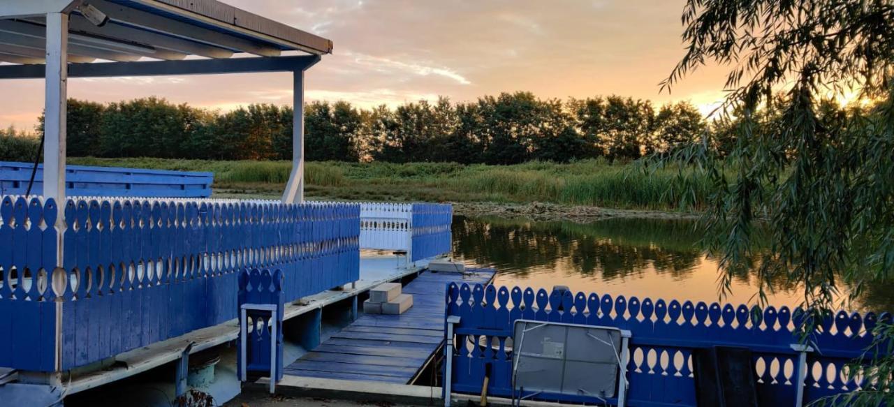 Wild Carp Villa *