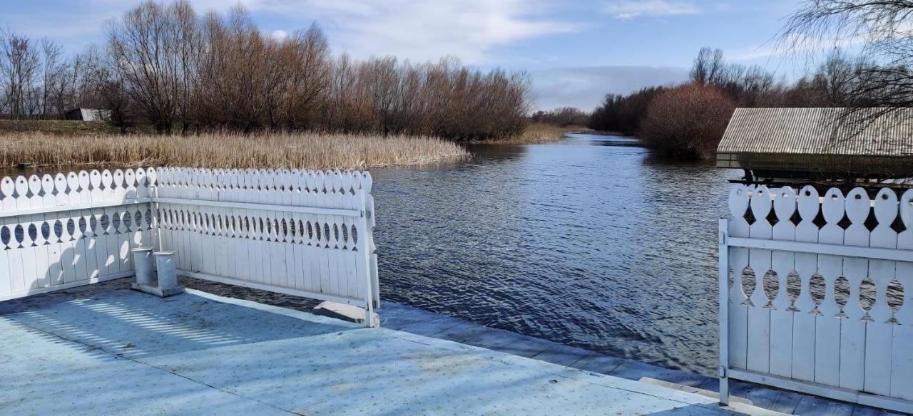 Wild Carp Villa Dunavăţu de Jos